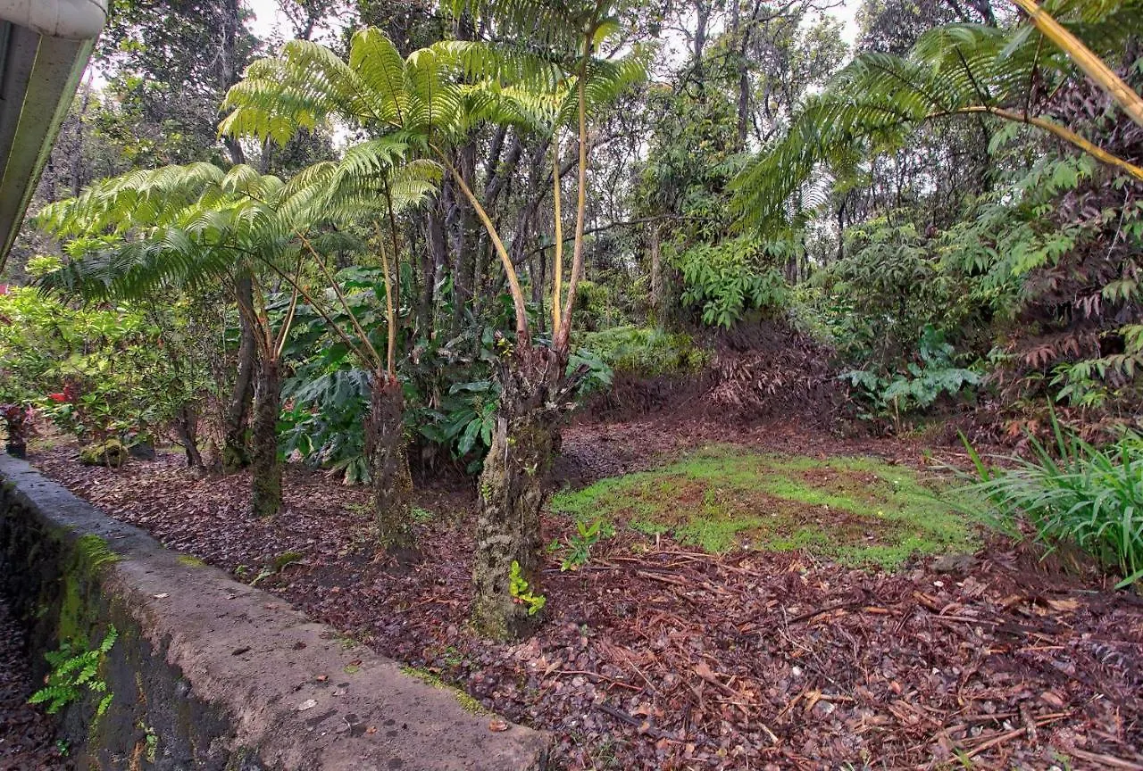Aloha Ohia Hale Home Volcano Holiday home