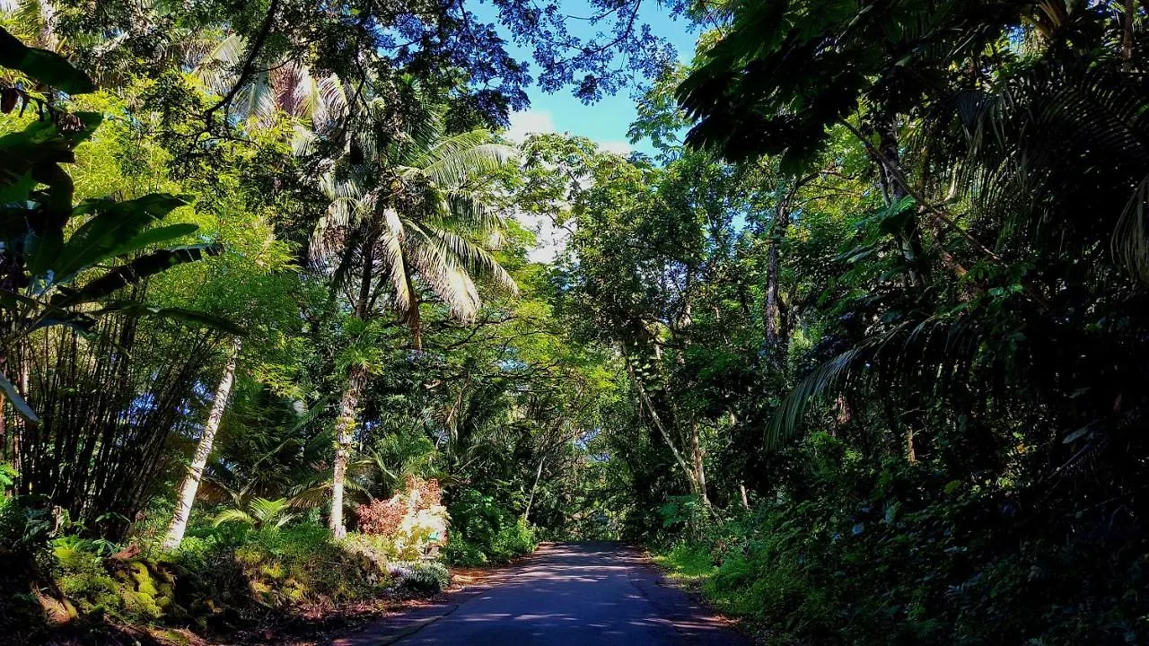 Aloha Ohia Hale Home Volcano